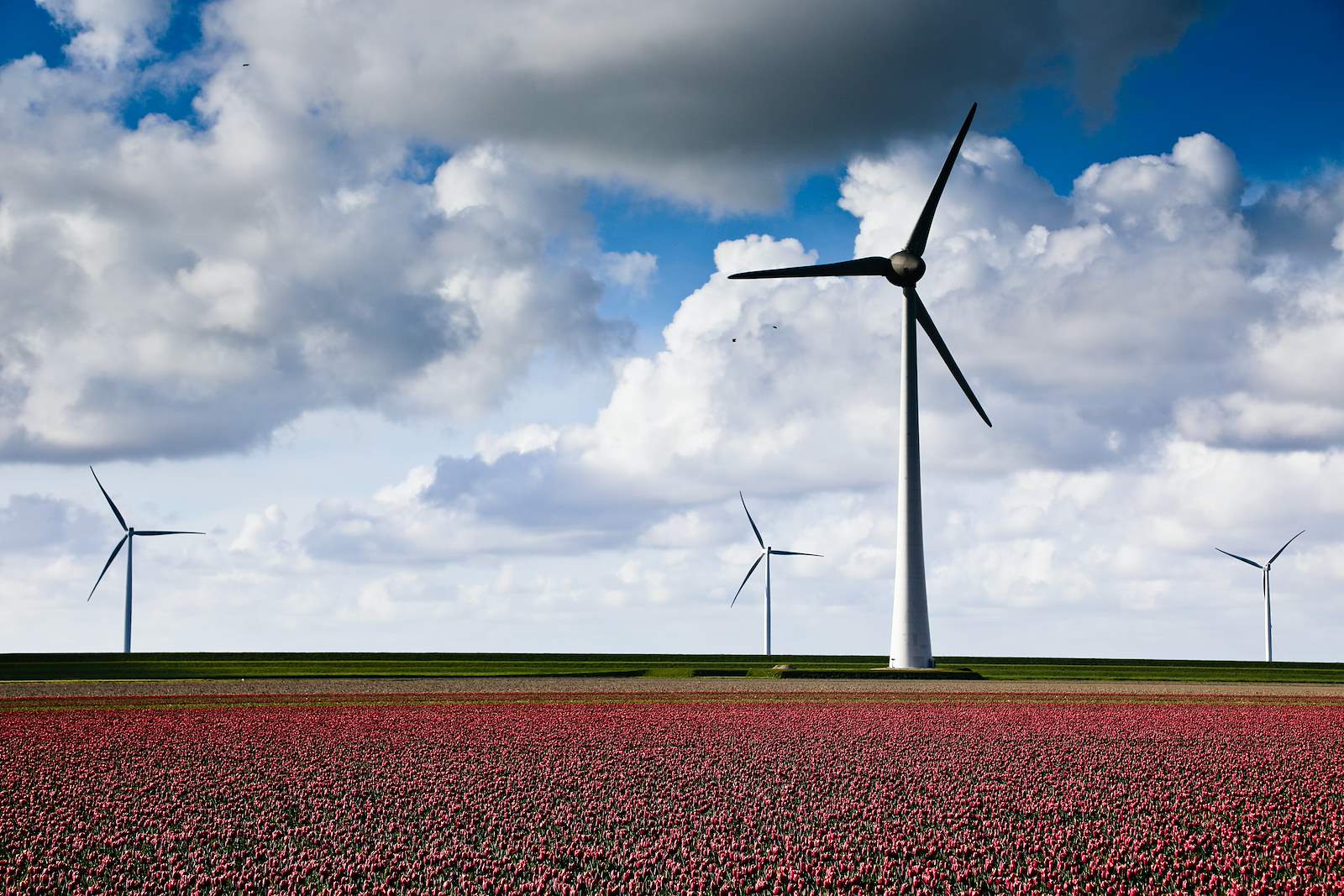 Our offices in Amersfoort, Rotterdam, Eindhoven and Groningen will be getting their energy directly from Windpark Ferrum in IJmuiden, The Netherlands